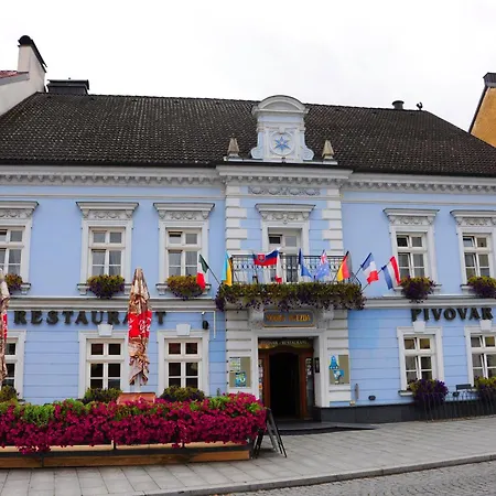 Restaurant Modra Hvezda Отель Dobrany (Plzen)