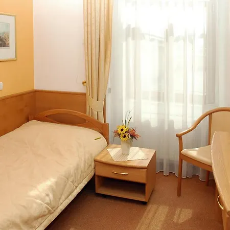 Restaurant Modra Hvezda Отель Dobrany (Plzen)