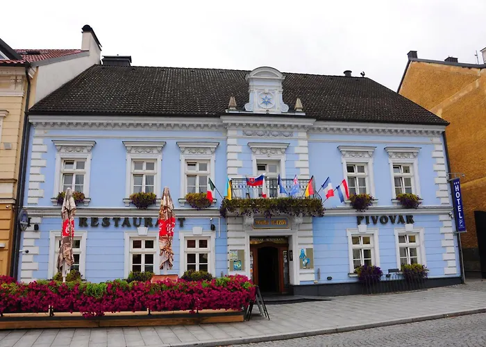 Restaurant Modrá Hvězda Hotel Dobřany