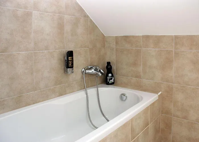 Hotel Restaurant Modra Hvezda Dobrany (Plzen)