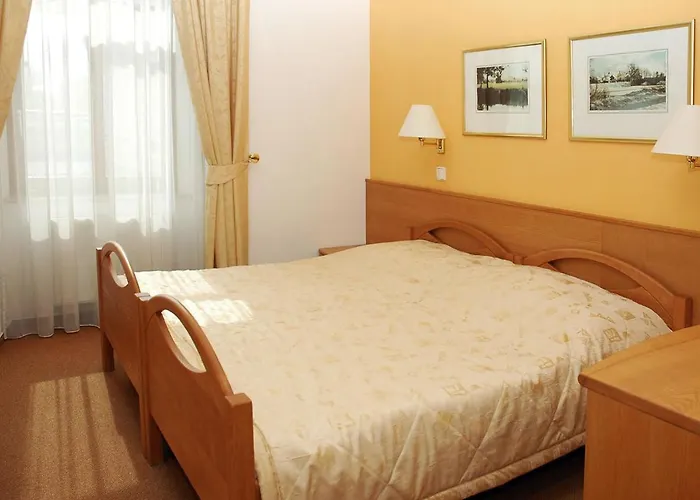 Restaurant Modra Hvezda Hotel *