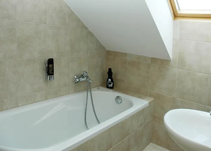 Restaurant Modra Hvezda * Dobrany (Plzen)